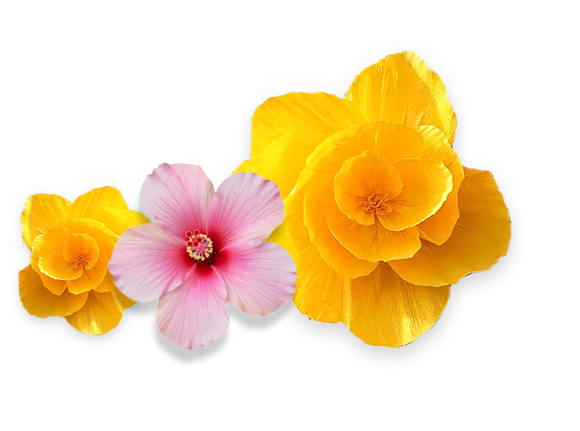 flowers right.png
