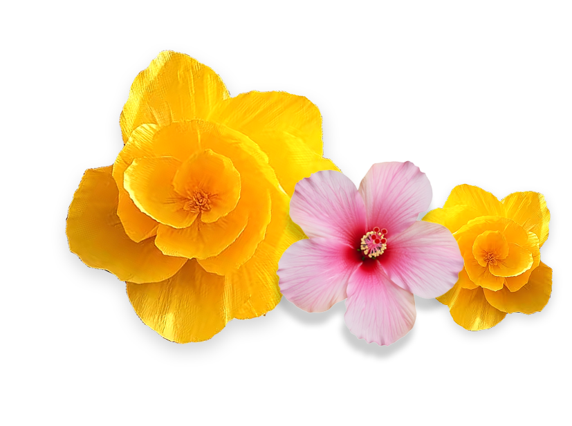flowers left.png