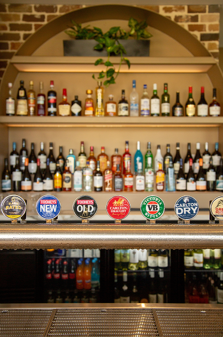 A bar shelf with a variety of liquor bottles and six beer tap handles in front, featuring brands like Carlton Dry and VB, with a potted plant above the shelves.