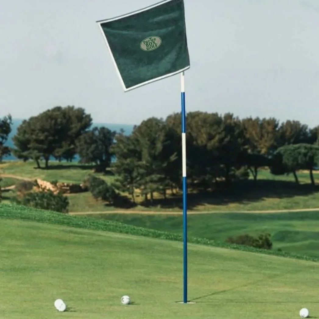 Close-up of a golf hole on a golf course with a blue flagstick and a flag bearing the logo 'ParTee Box Golf' fluttering in the breeze. Two golf balls are near the hole on the grass.