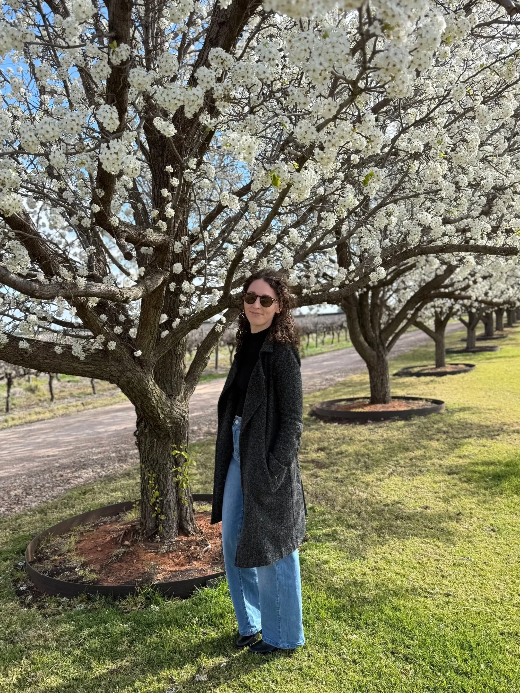 A woman standing near a blooming flowering tree with white blossoms in a row of similar trees on a grassy area under a partly cloudy sky.