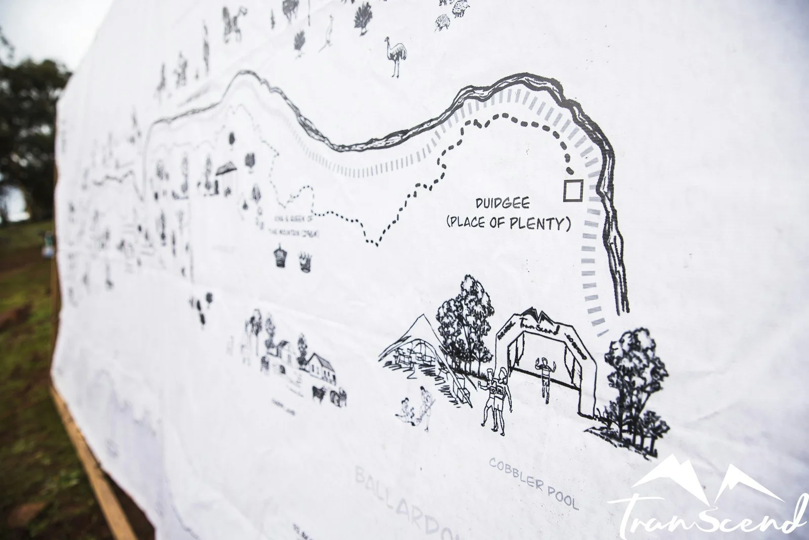 Transcend 2023-698.jpg