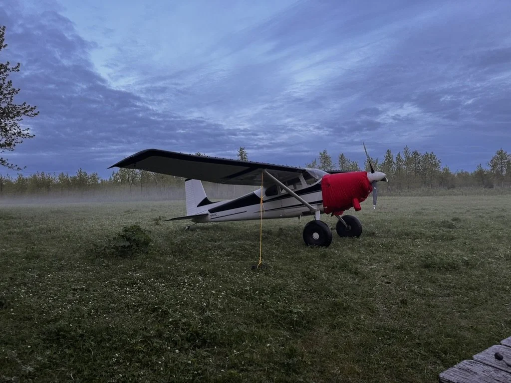 Cessna 180 bush plane on a grass airstrip in Alaska