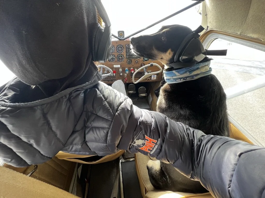 A man and a dog sitting in the cockpit of an airplane, with the man wearing a headset and the dog wearing a bandana, looking at the airplane instruments.