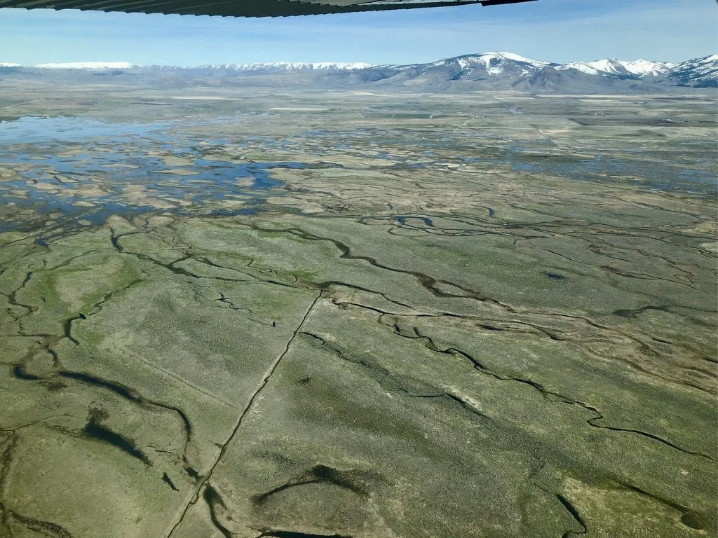 Aerial view of a marshland with numerous waterways and patches of grass, with snow-capped mountains in the background under a partly cloudy sky.