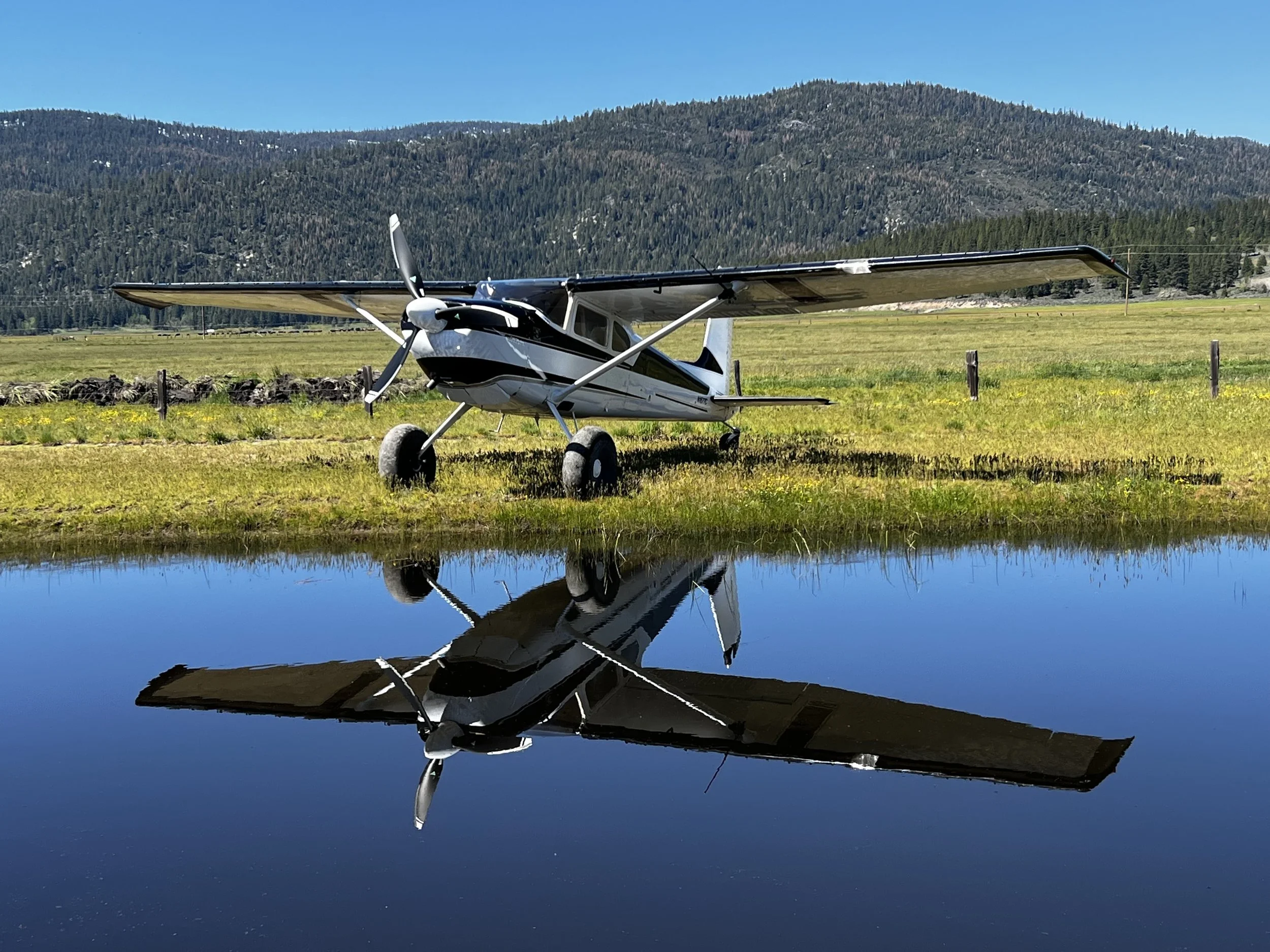 Cessna 180 bush plane