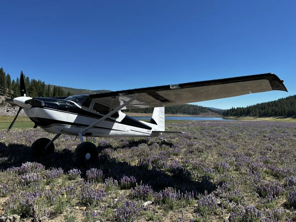 North Tahoe Aviation's Cessna 180 used for scenic tours