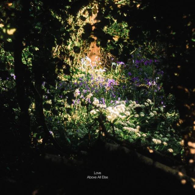 Sunlight filtering through trees onto a bed of colorful wildflowers, with the words "Love Above All Else" at the bottom.