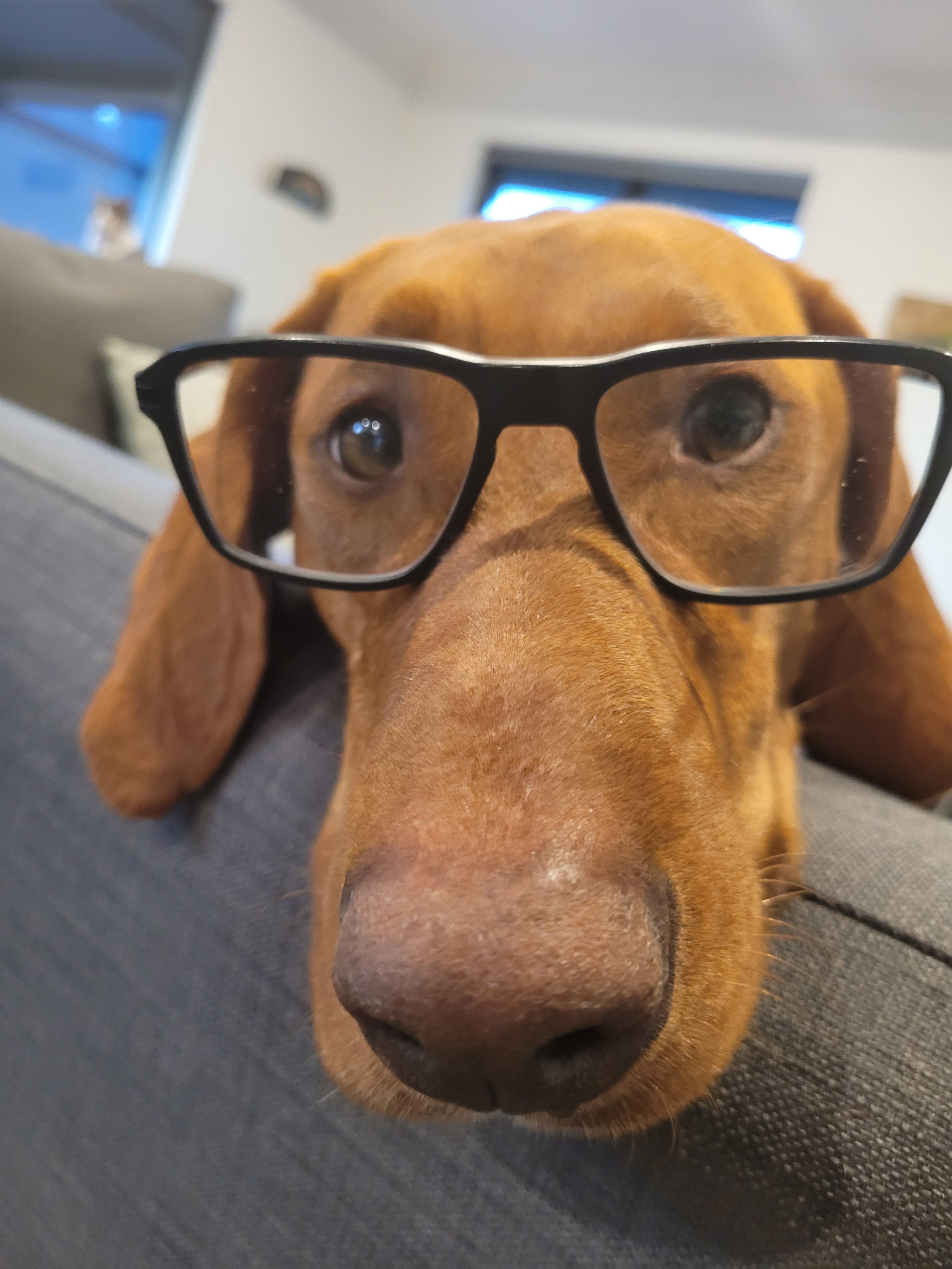 2024-05-28 17.14.22.jpg