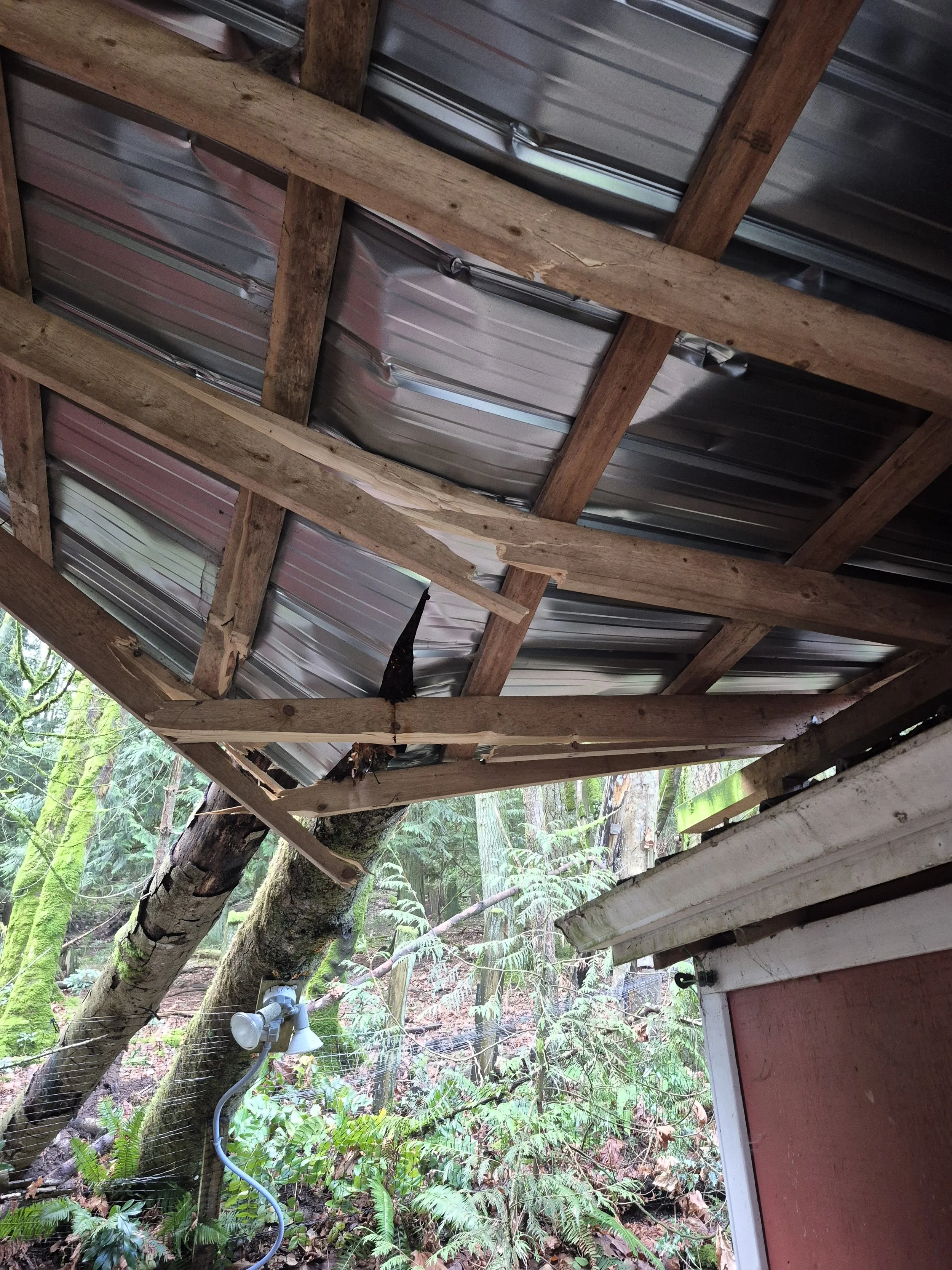 1000018377.jpg