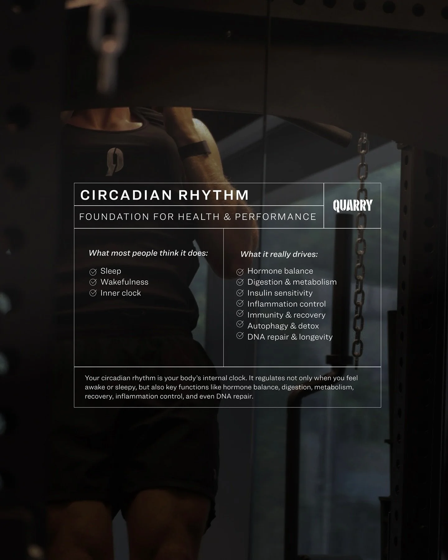 At QUARRY, we design training, recovery, and lifestyle guidance that&nbsp;work with your body&rsquo;s natural rhythm, not against it.

- Structured training: Smart programming that aligns intensity and recovery.
- Recovery protocols: Sauna, cold plun