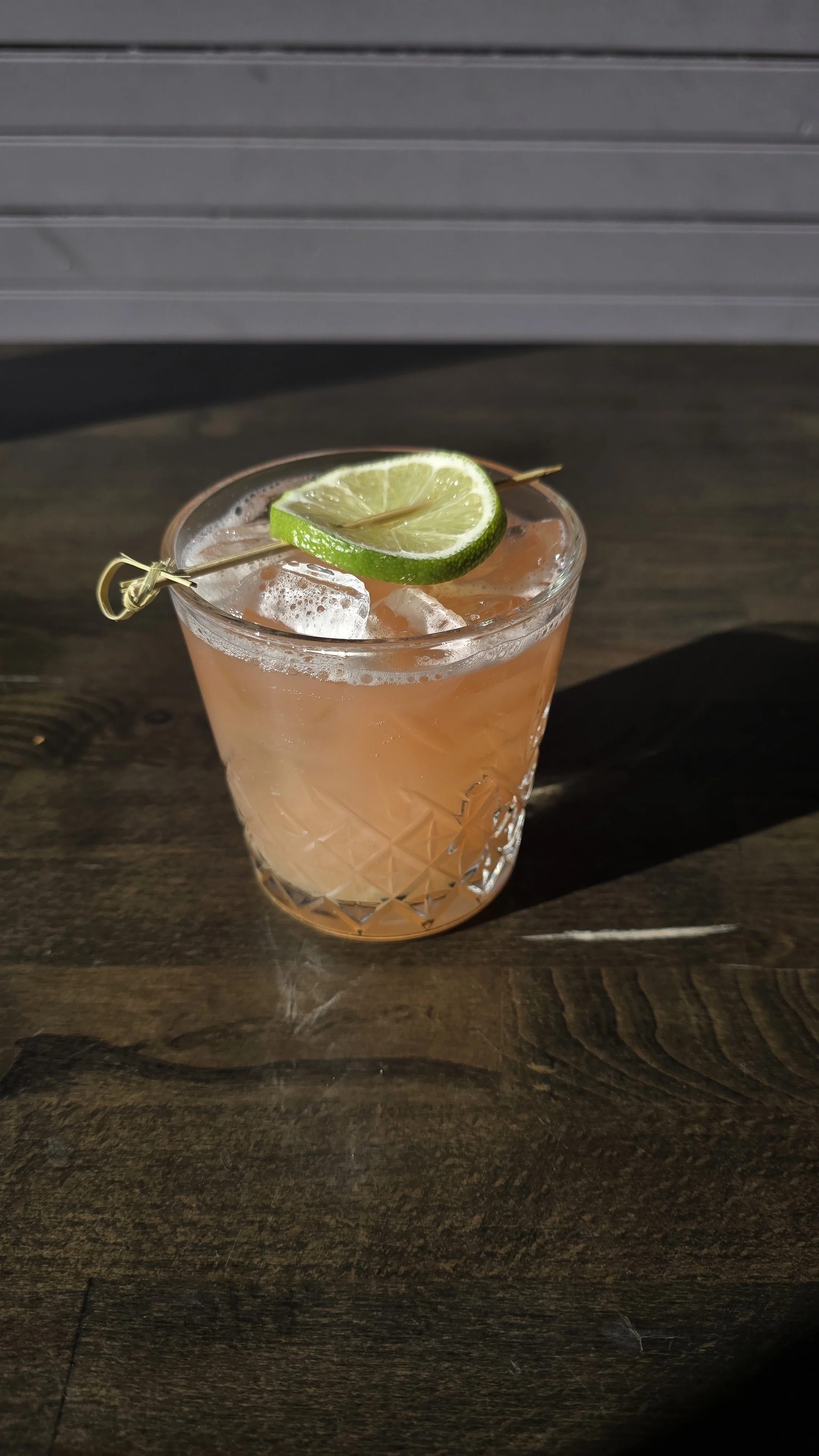 Picture of our Autumn Dove