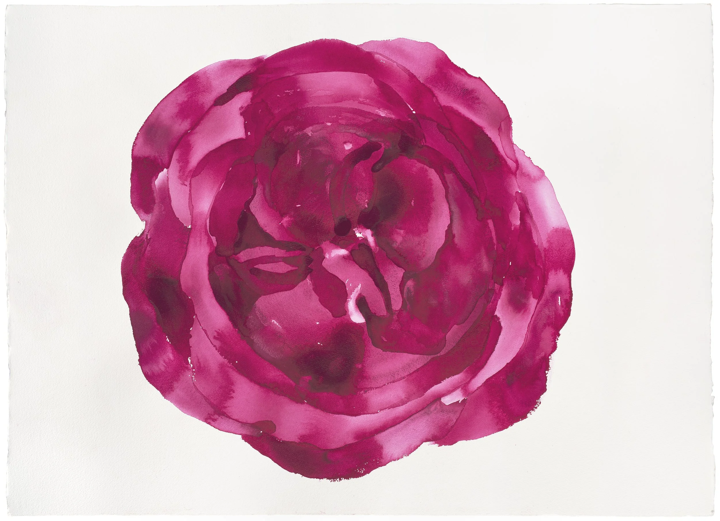  Rose Mandala for the time of Covid (the rose and the wheel) , 2020, watercolour on Arches Paper, 96x124cm