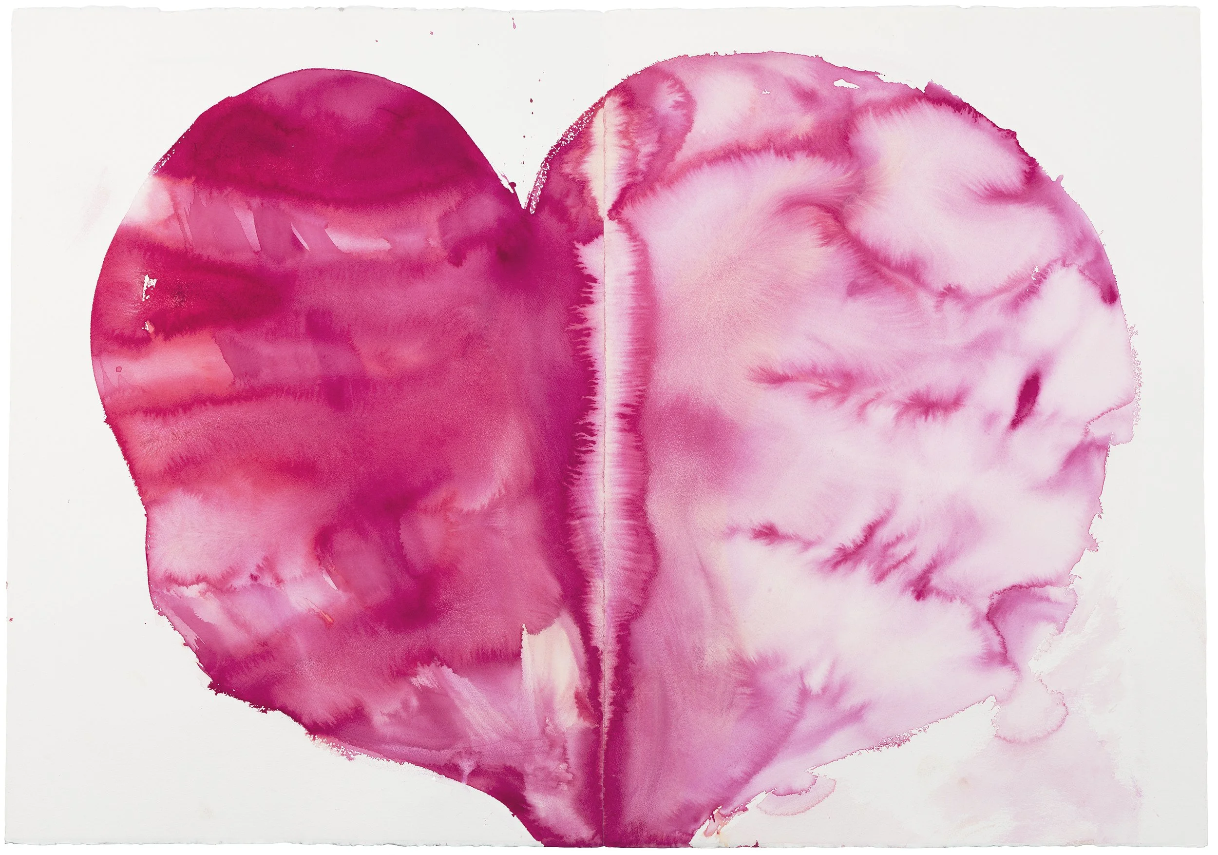  The divided heart , 2015, watercolour on pape, 102x150cm