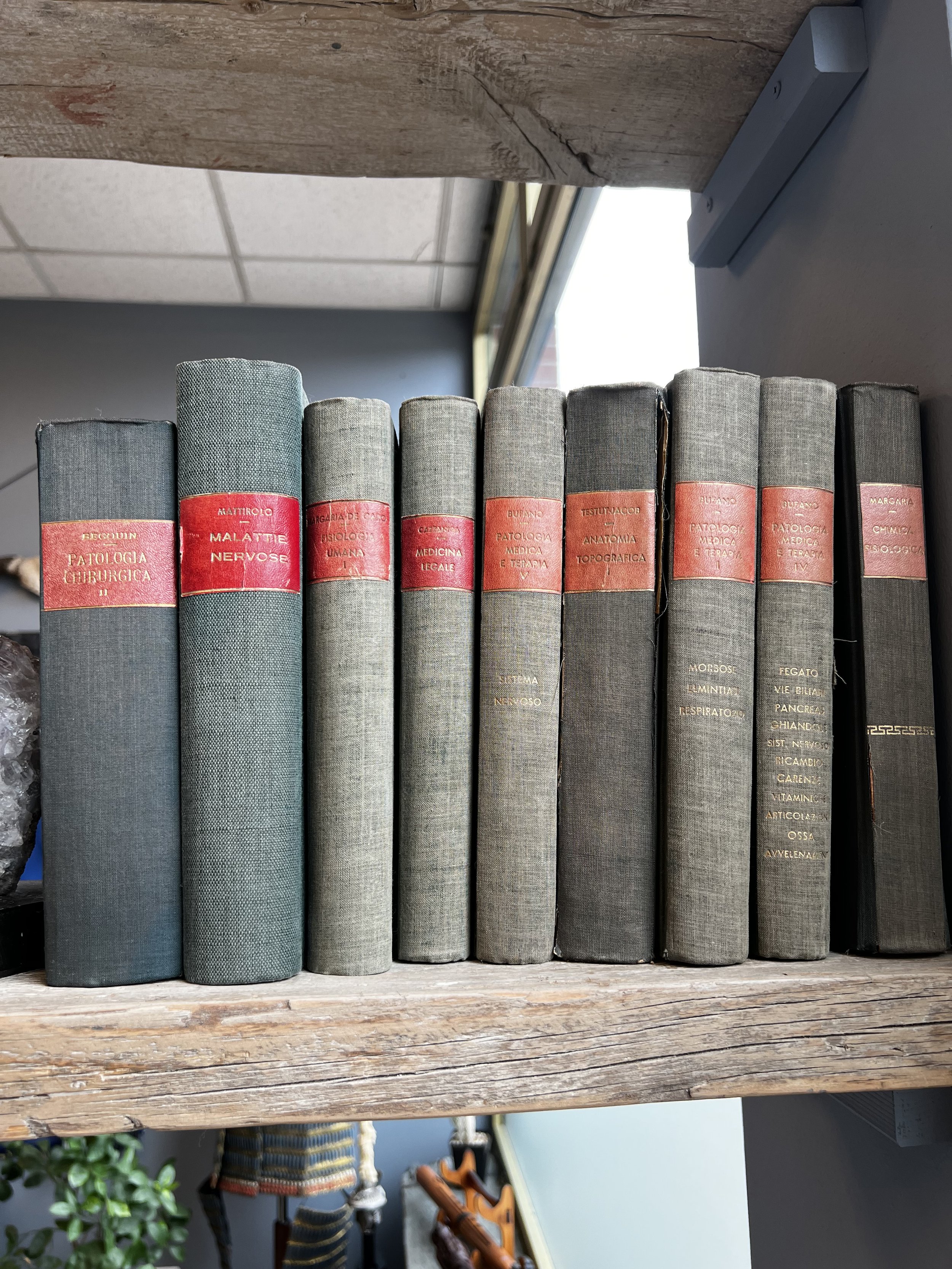 Una fila di libri accatastati con copertine grigie e fasce rosse sul dorso, posti su una mensola di legno. Sullo sfondo un muro con una finestra.