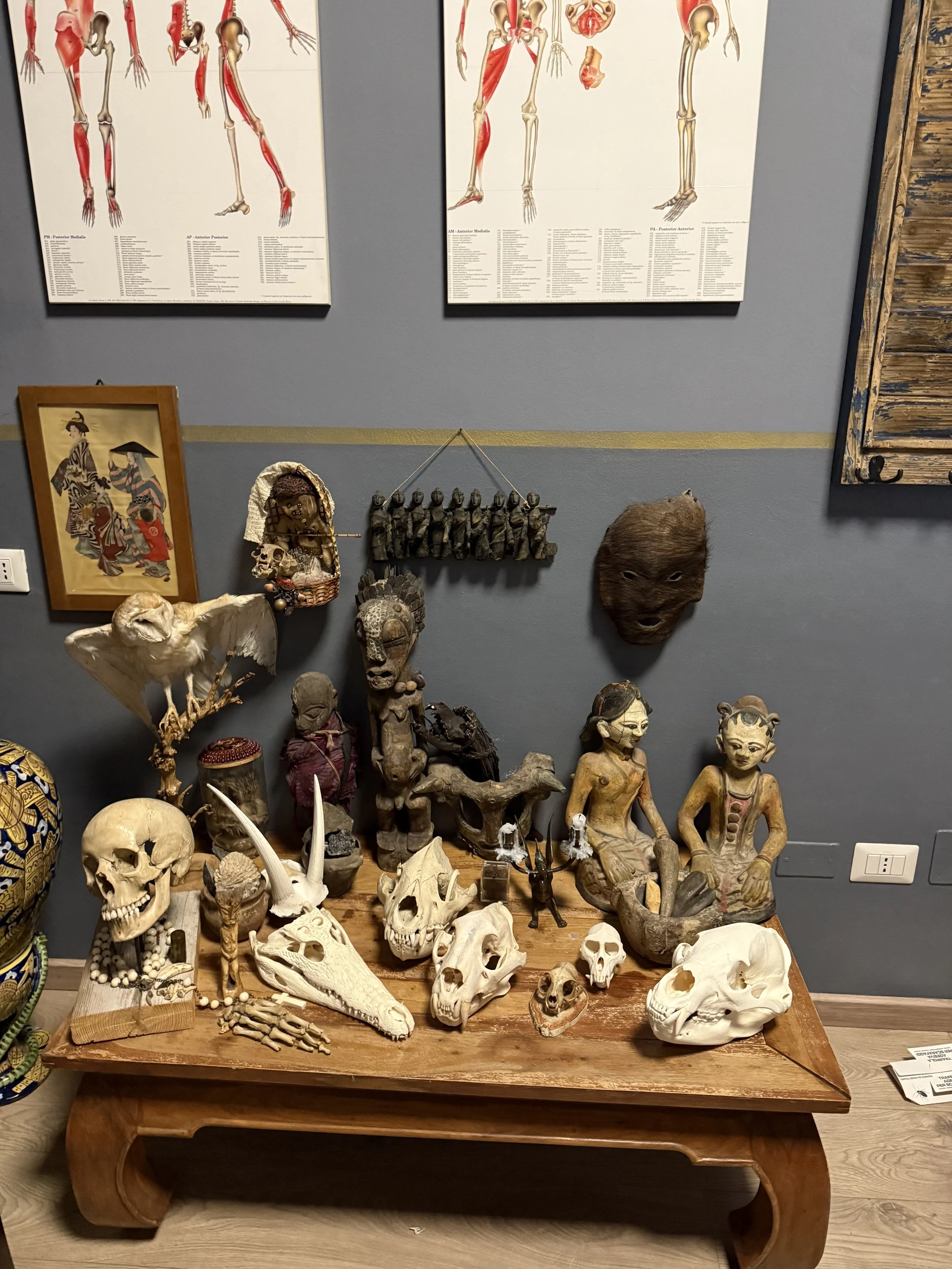 Mostra di oggetti culturali e artistici, tra cui teschi, maschere, statuette, eibiti tradizionali su un tavolo di legno, con poster anatomici sul muro sopra.