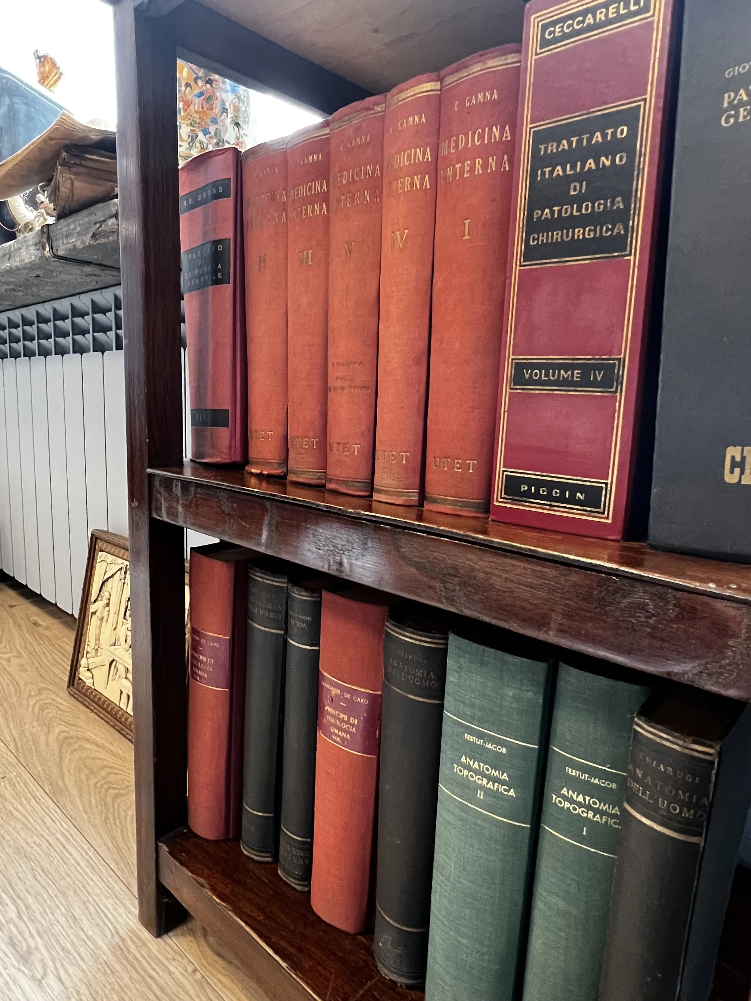 Scaffale con libri di medicina e anatomia, alcuni di essi sono vecchi e rilegati in pelle, colori predominanti rossi, verdi e neri.