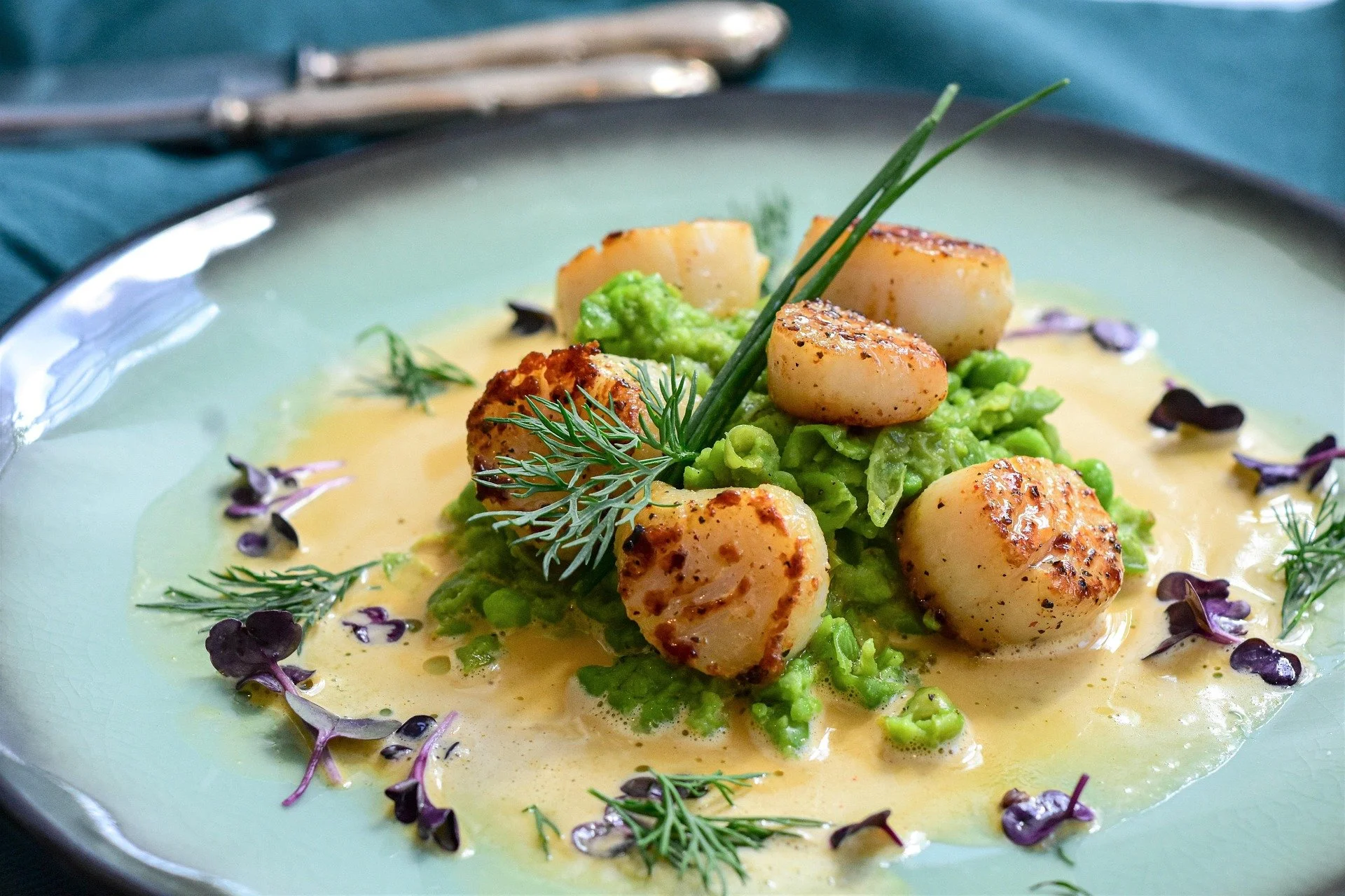 Seared scallops served with green peas, garnished with herbs, on a light blue plate with a creamy sauce and edible flowers.