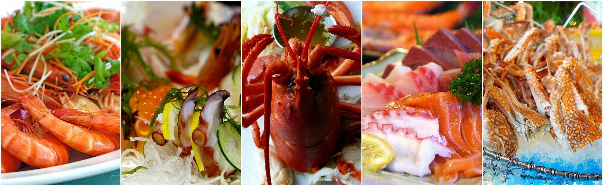 Collection of seafood dishes including shrimp, sashimi, lobster, and crab.