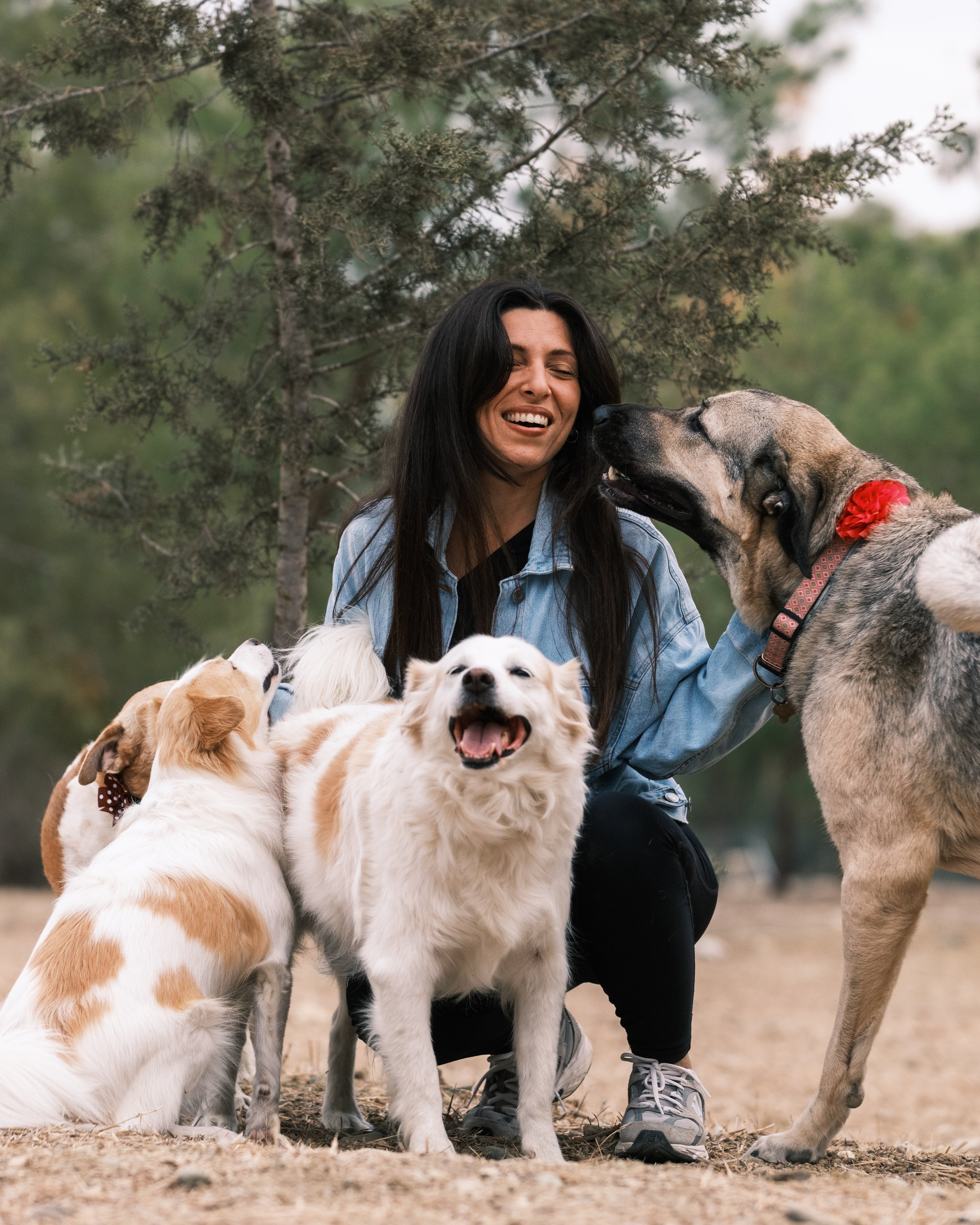 A woman with long dark hair smiling and surrounded by four dogs outdoors with trees in the background.
