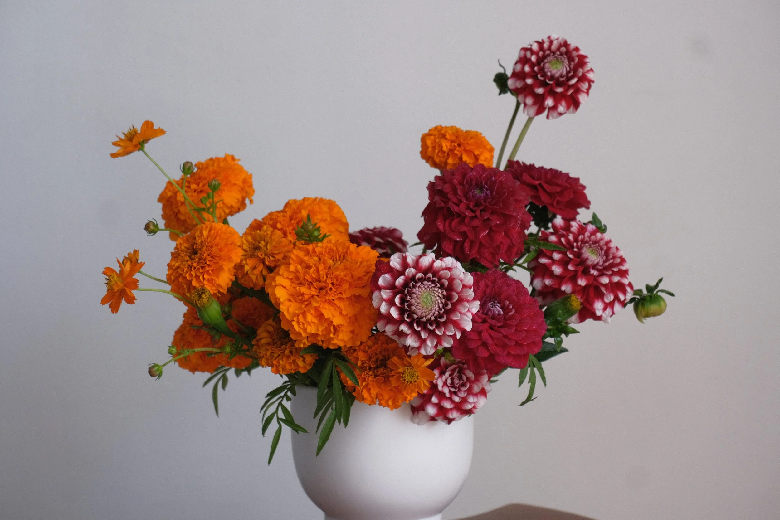 A white vase filled with orange and red flowers, including marigolds and dahlias, set against a plain background.