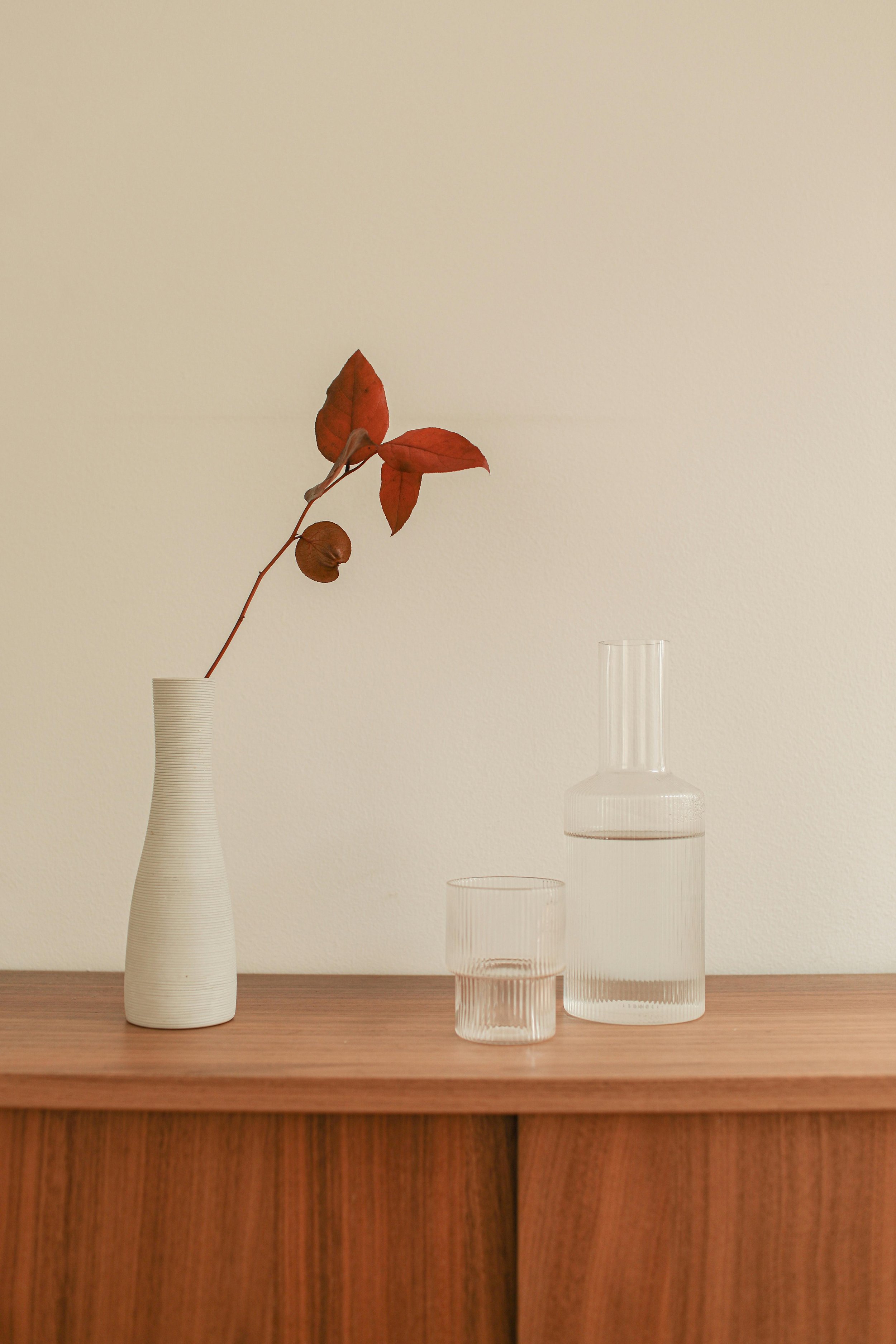 A minimalist still life with a white ceramic vase holding a single branch with red leaves and a small round seed or berry, a drinking glass, and a tall glass pitcher filled with water are arranged on a wooden surface against a light-colored wall.