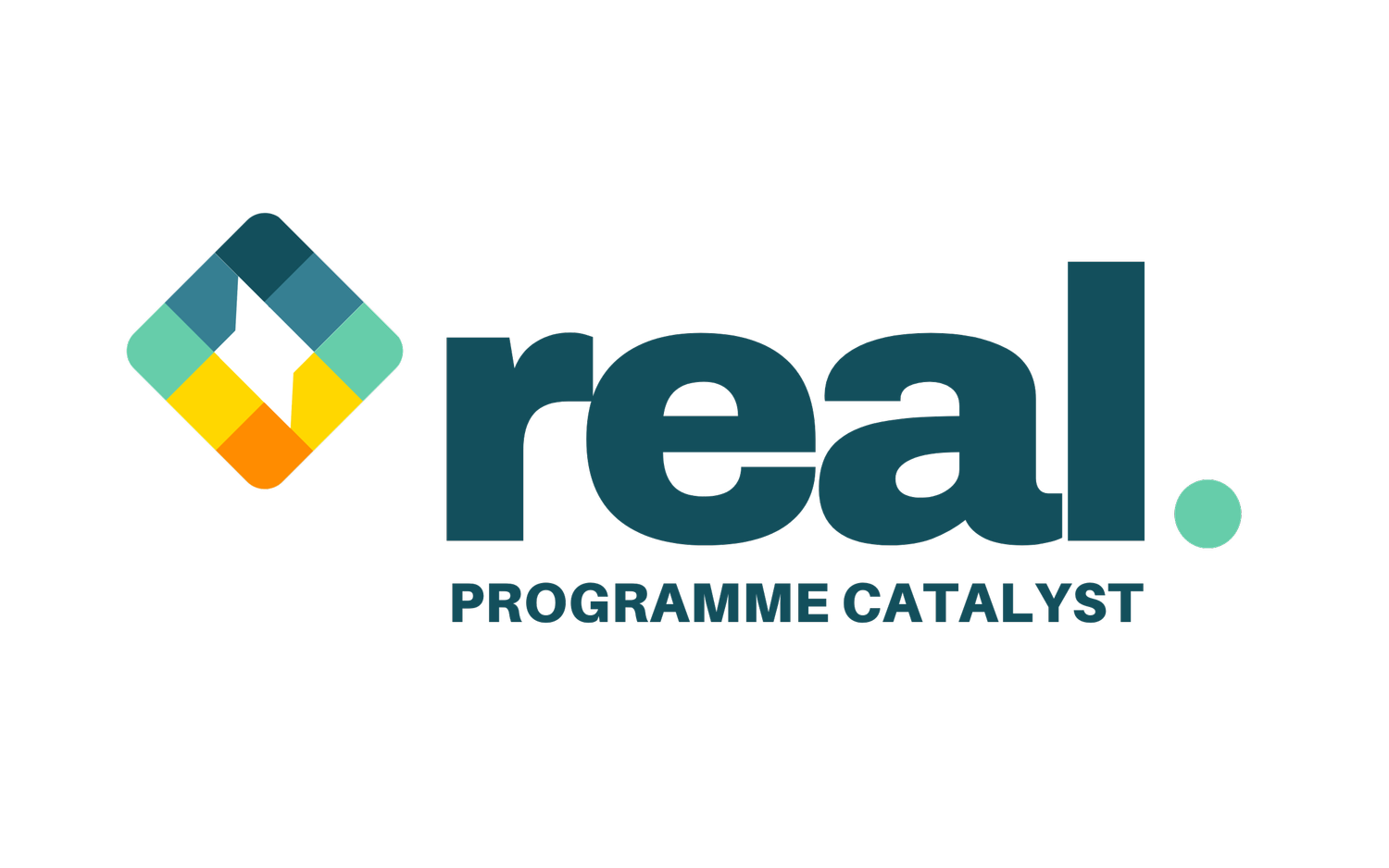 REAL Programme Catalyst