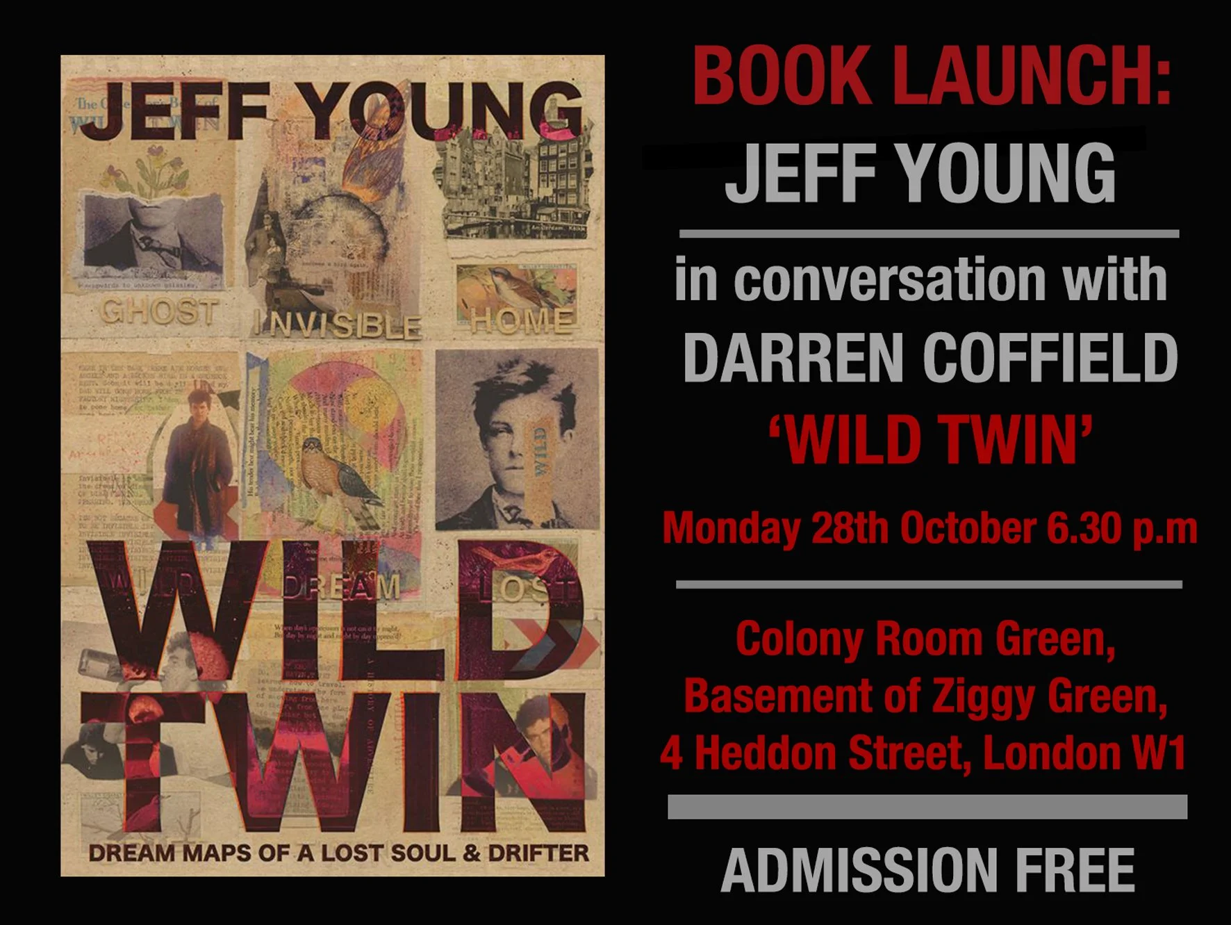 WILD TWIN FLYER.jpg