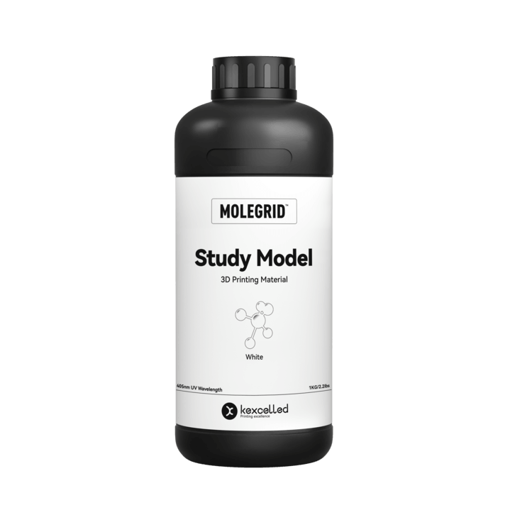 Study Model.png