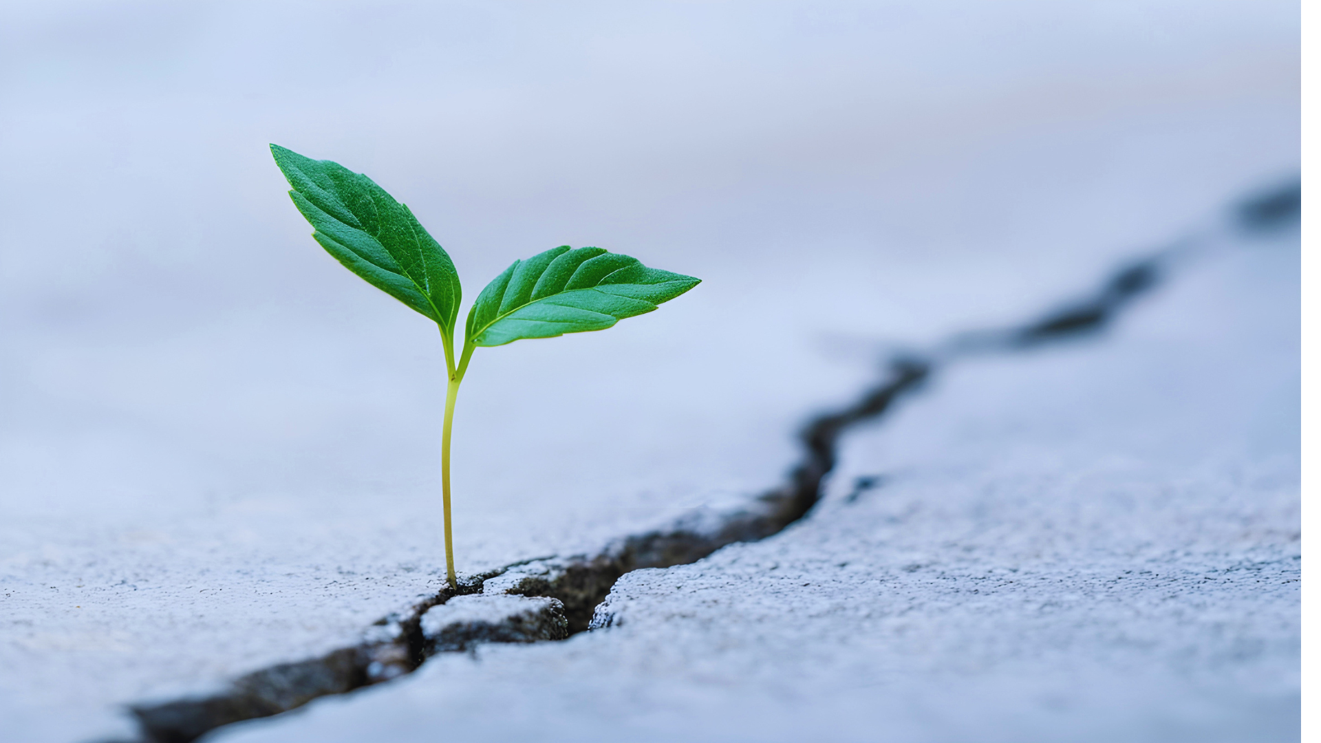 Why Resilience Matters
