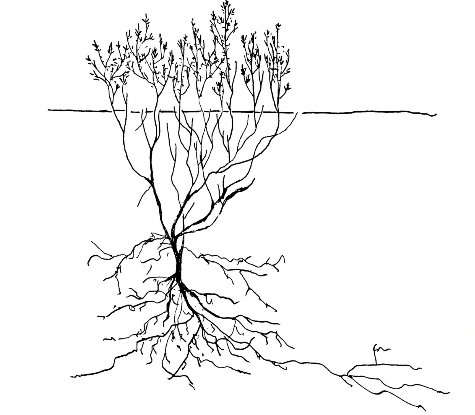 Capture d’écran 2023-06-30 à 10.58.02.png