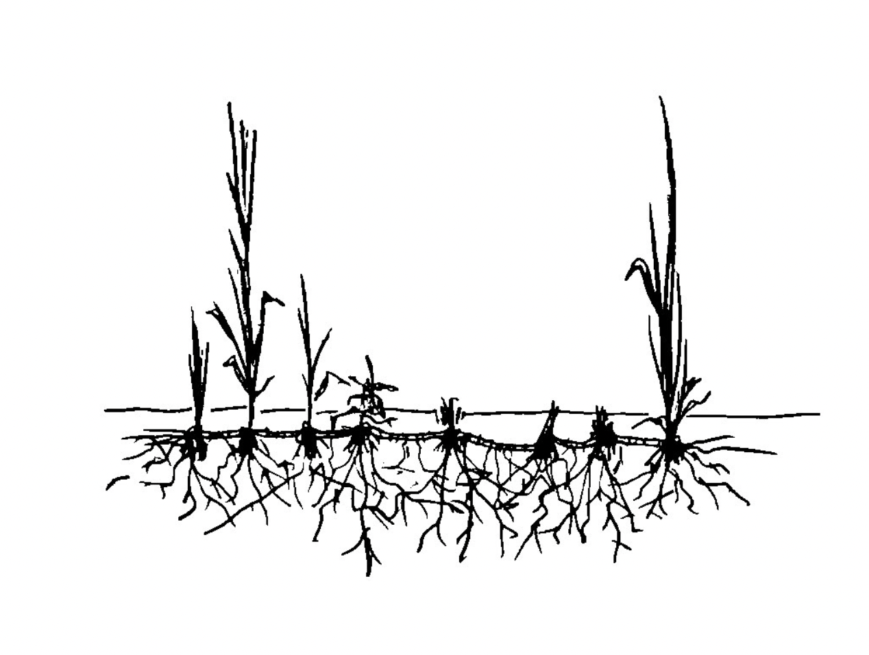 Capture d’écran 2023-06-30 à 10.58.11.png