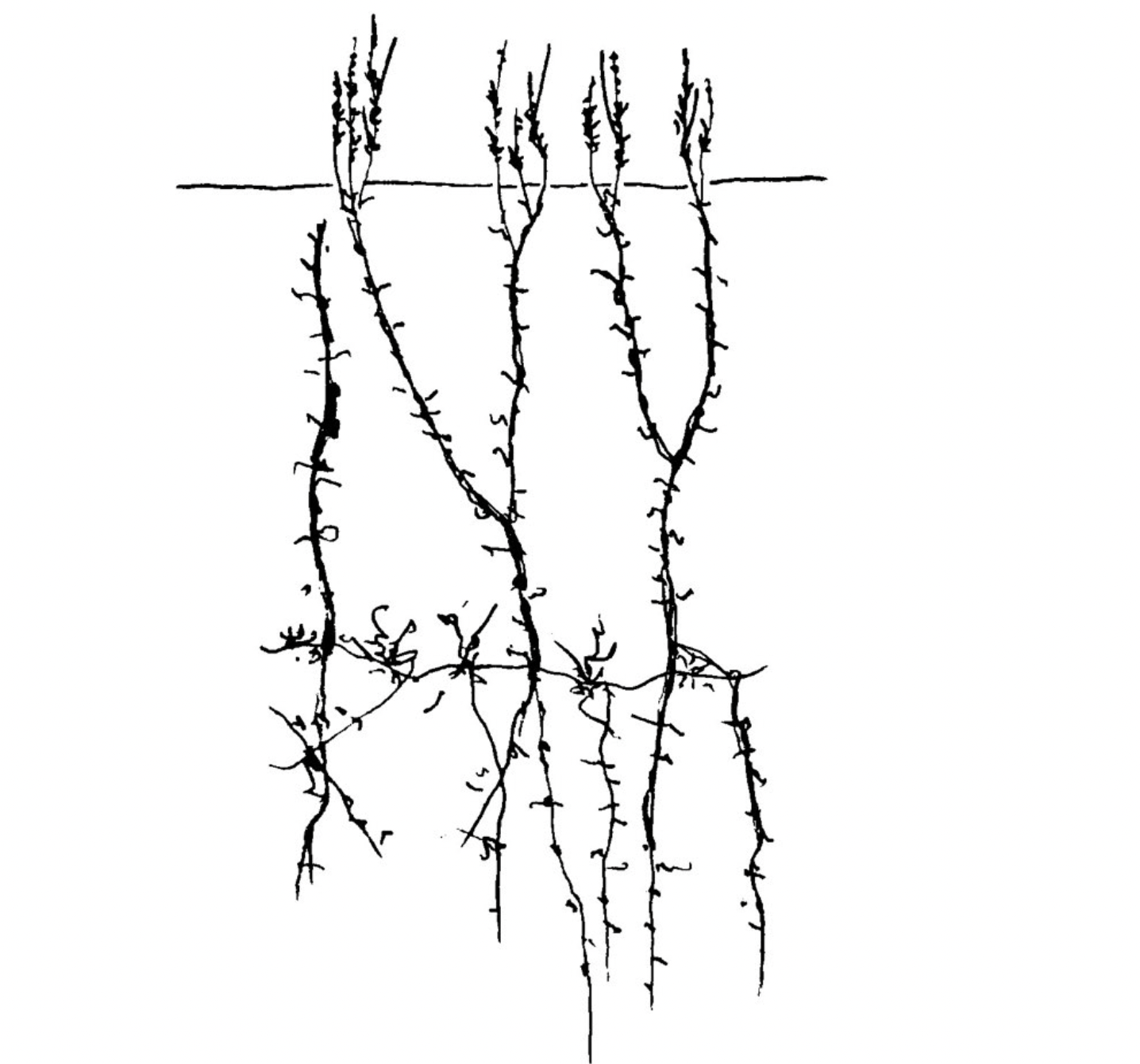 Capture d’écran 2023-06-30 à 10.58.41.png