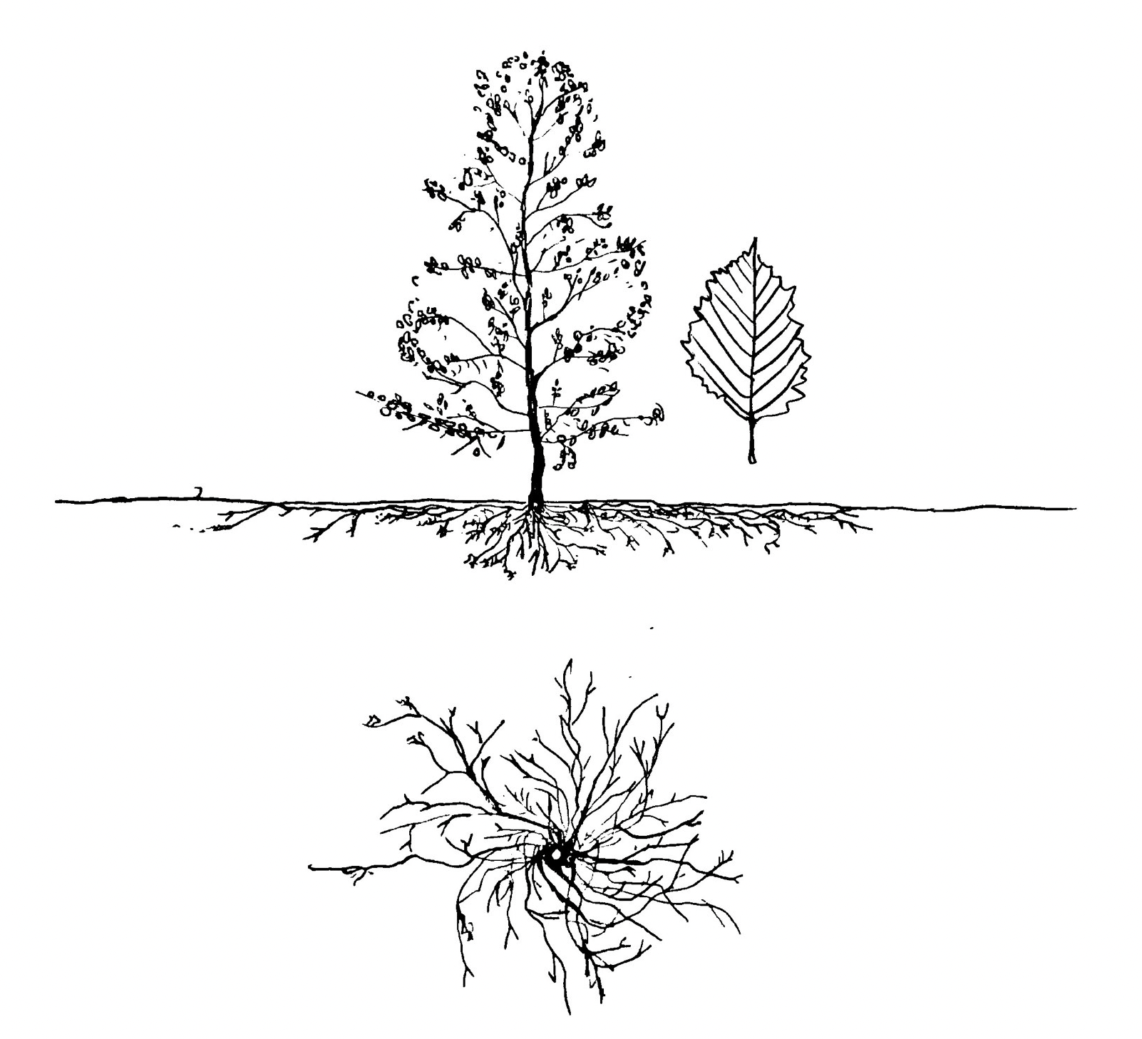 Capture d’écran 2023-06-30 à 10.59.11.png