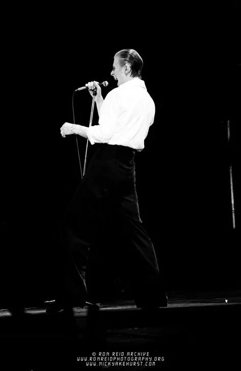 David Bowie back.jpg