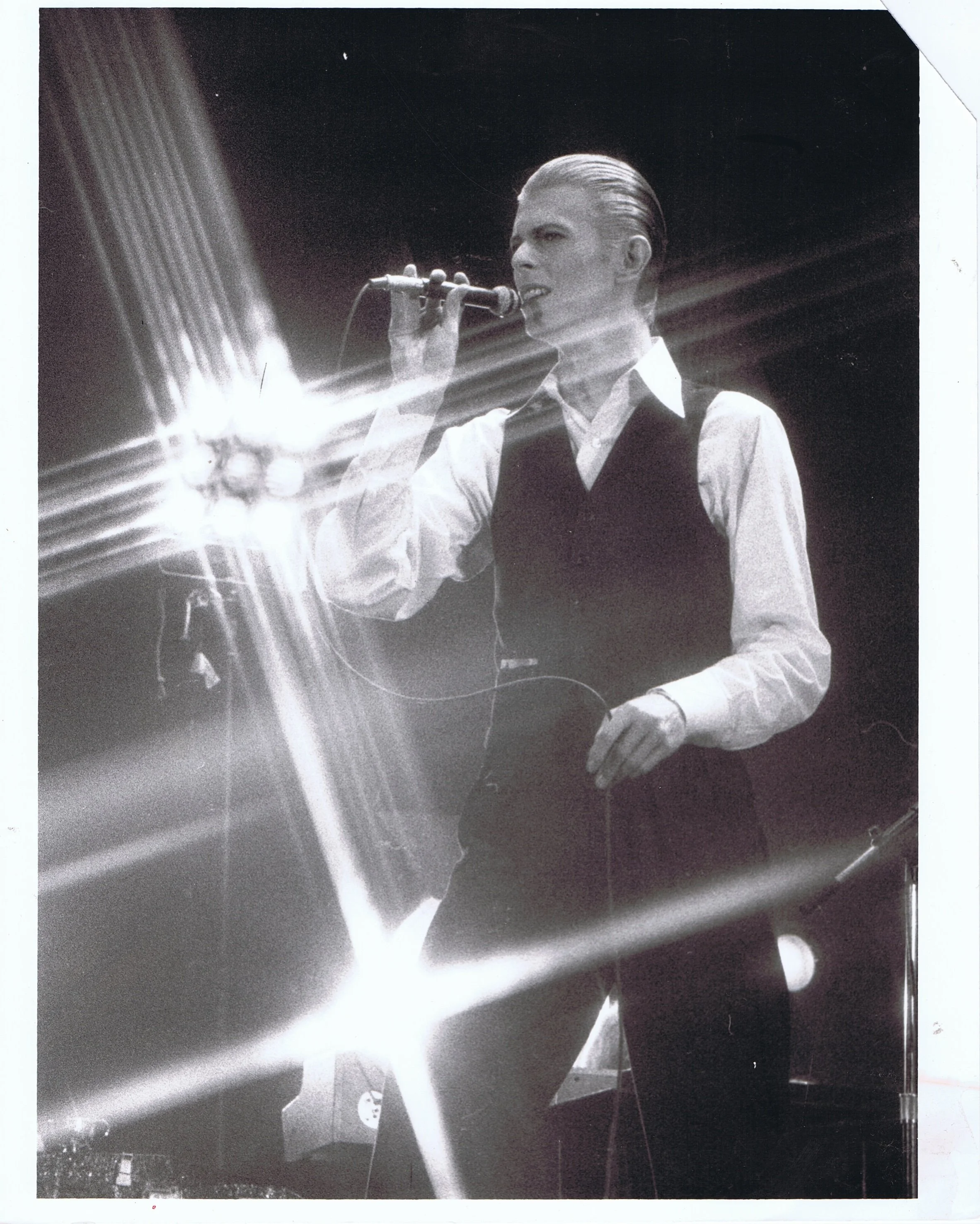 David Bowie