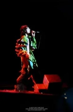 Mick Jagger and microphone.jpg