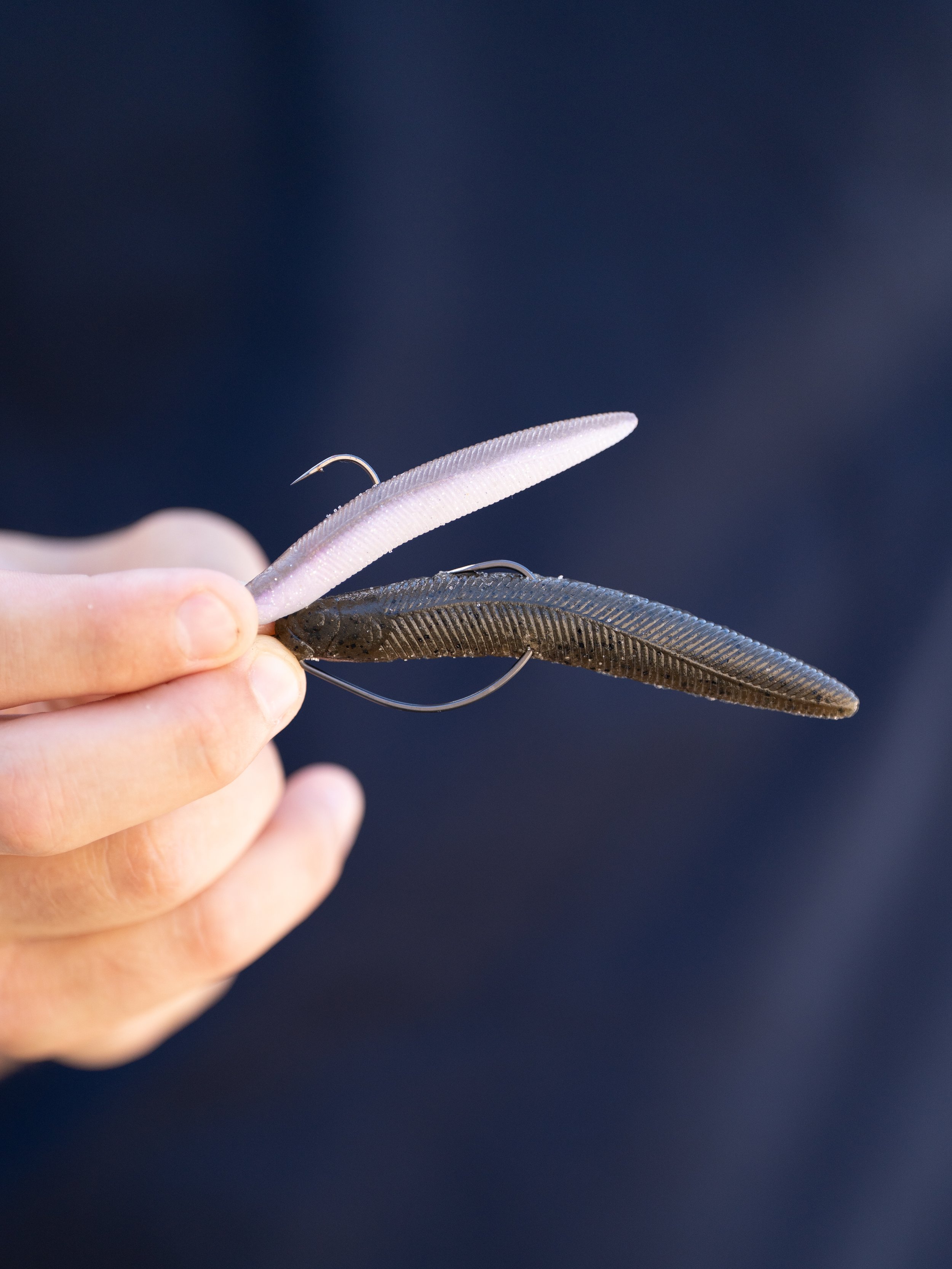 Pêcher le bass en rivière (Marais Poitevin) au Yammy en été.&nbsp;