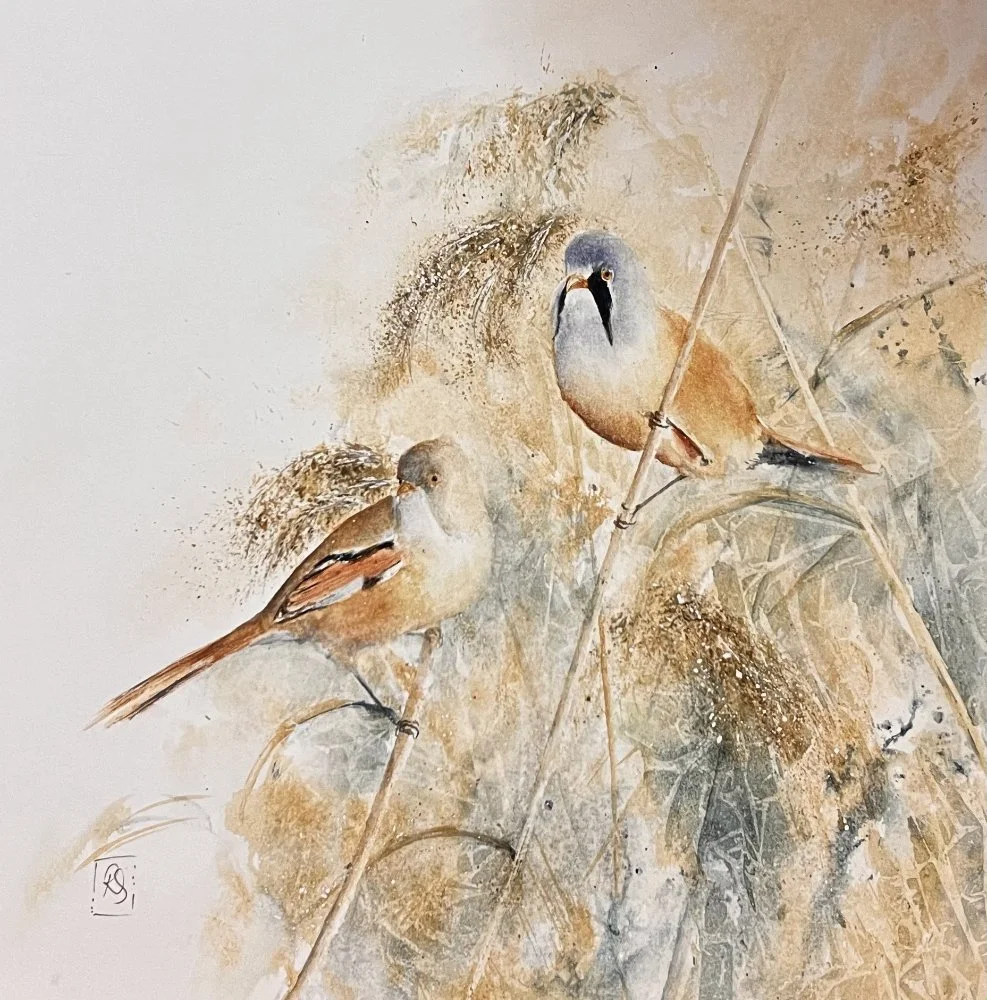 watercolour painting of two bearded tits nesled amongst the reeds