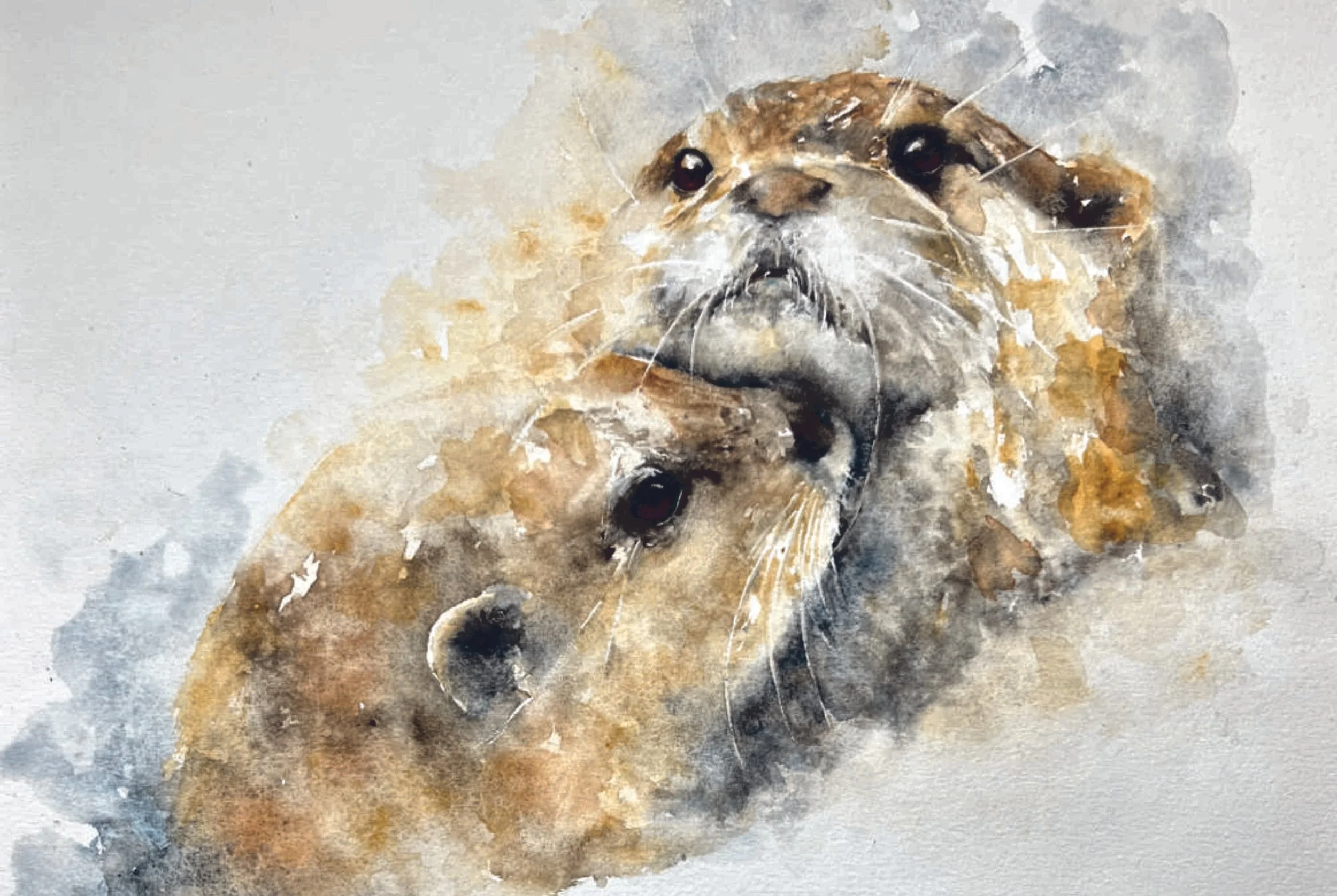 Watercolour semi-abstract painting of two otters nestled in to each other - head views