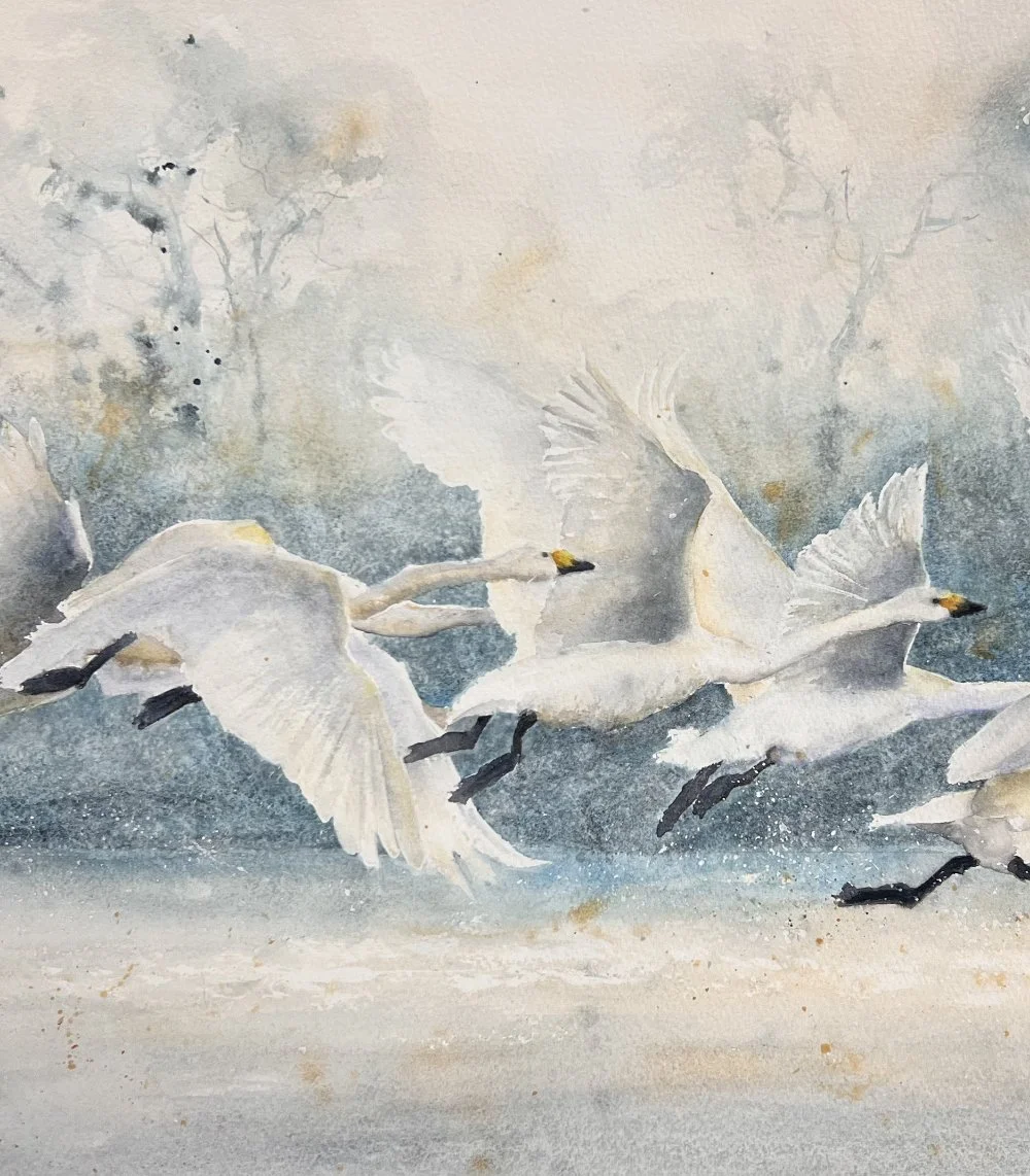 Shaping the Wind - an Artist’s Year