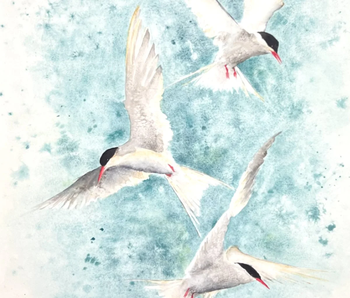 The Dazzle and Flurry of Spring