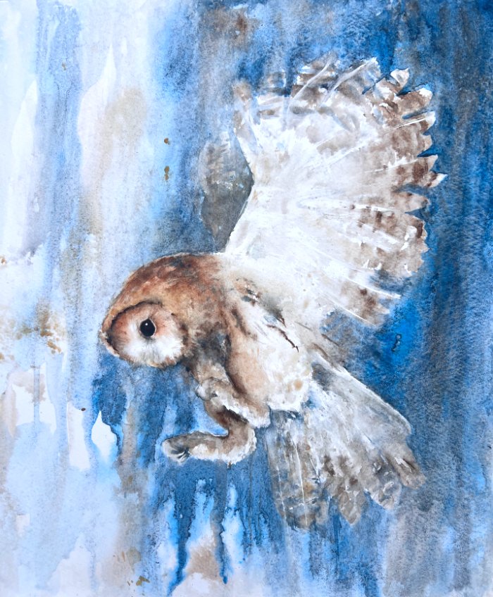 Tawny26_detail.jpg