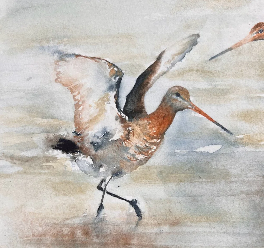 BTGodwit_Single2_26.jpg