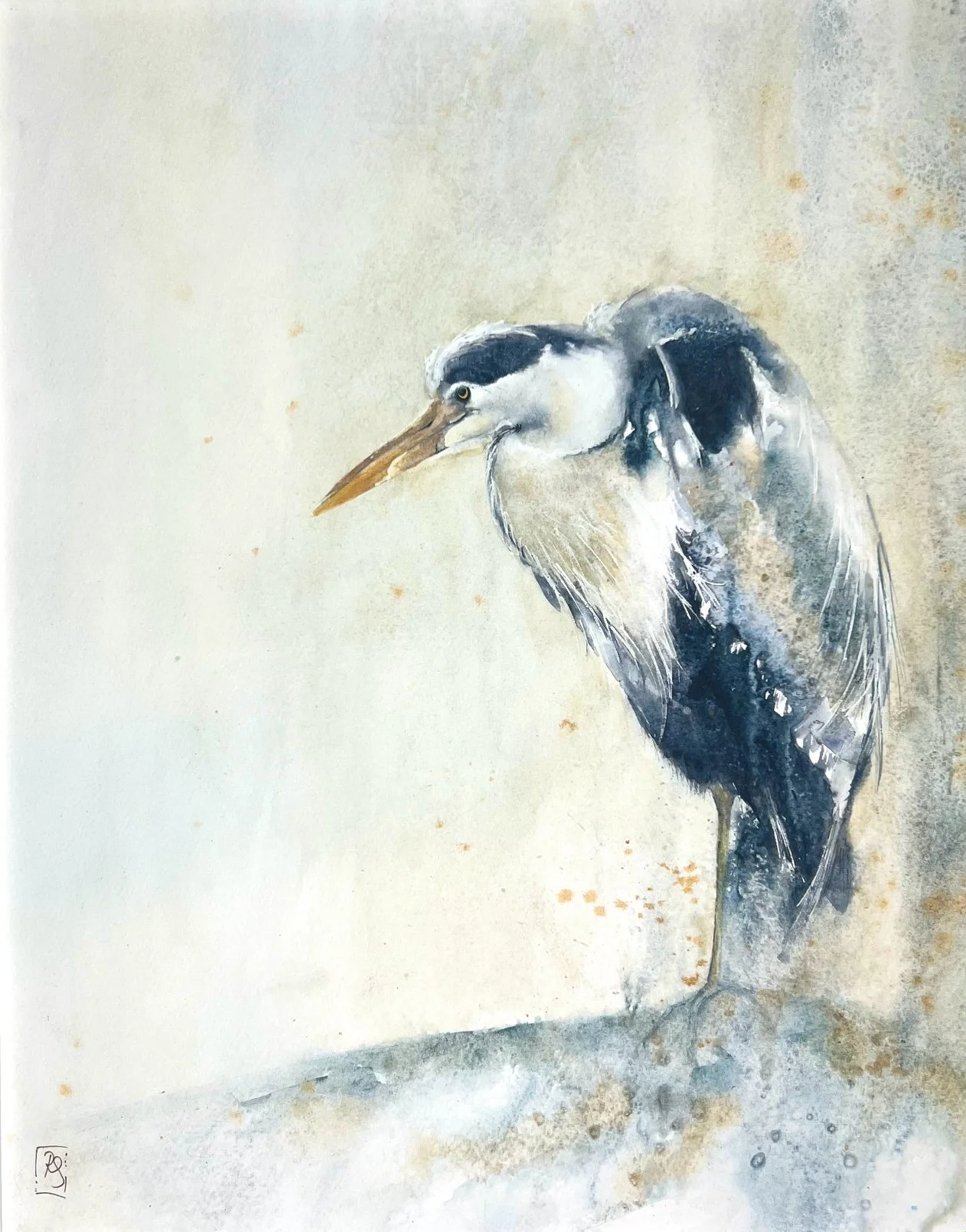 Watercolour painting of a heron standing in its tucked position in soft rain