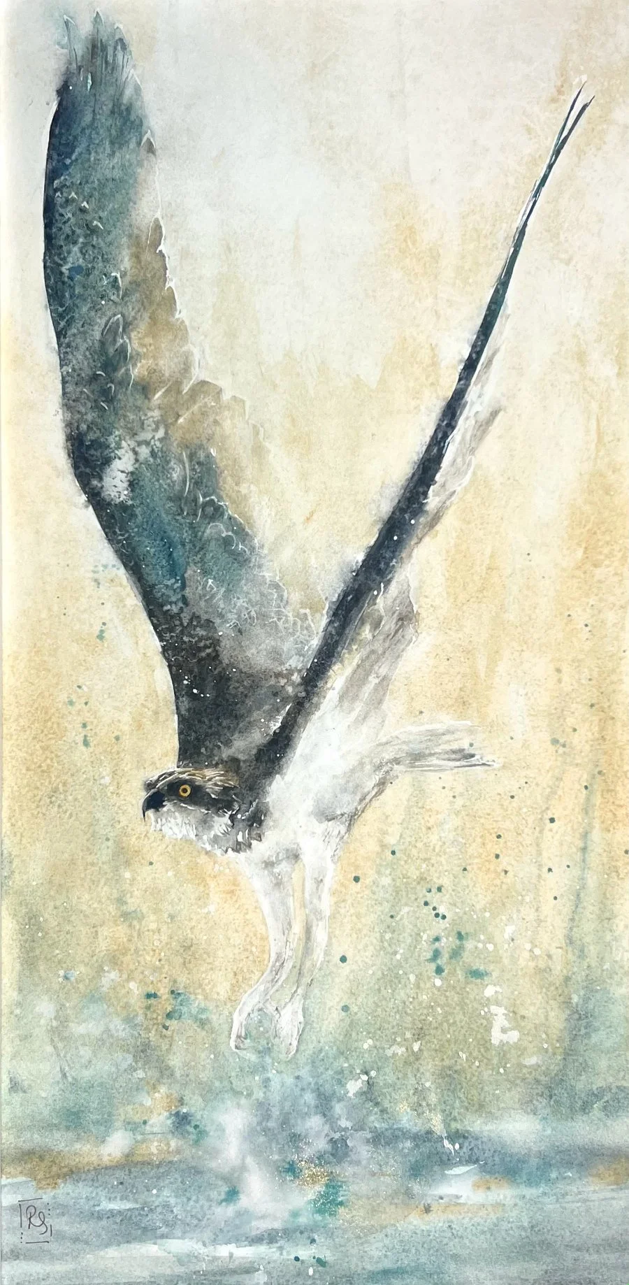 Osprey's Flight_RS_1.jpg