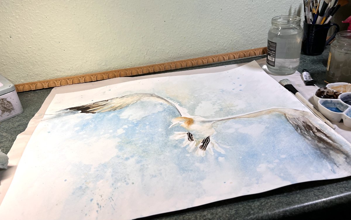 The artist’s work area featuring a painting in process of a gannet
