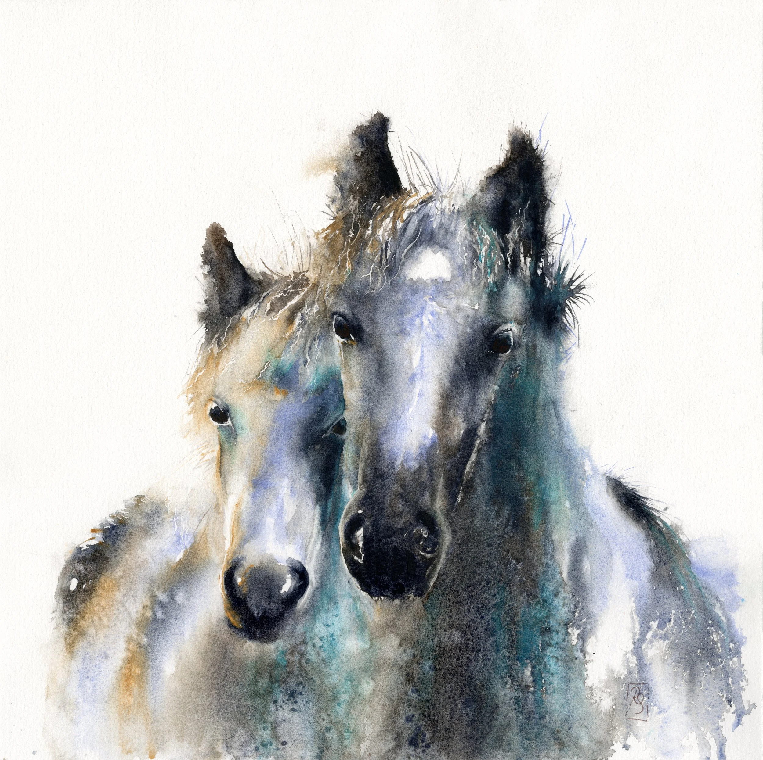 Watercolour painting of two young ponies - colt and filly - looking towards us with ears pricked, full of curiosity