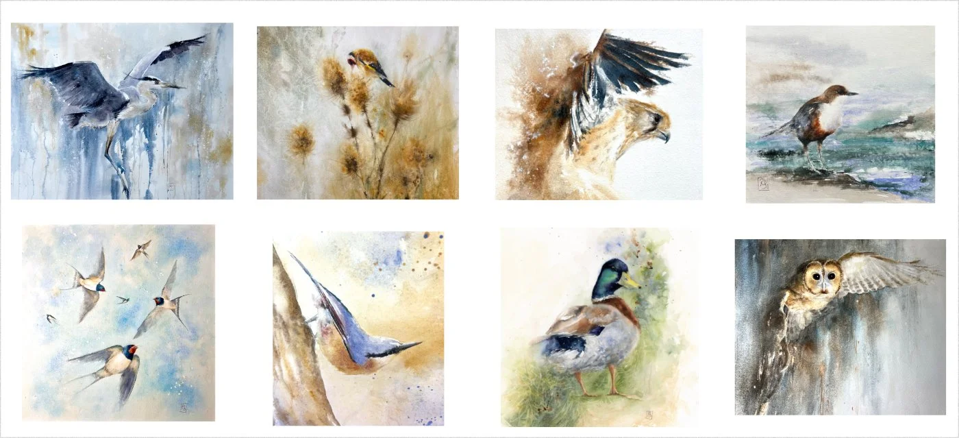A grid of 8 paintings depicting images from the Brantwood Collection of bird art by Rachel Singleton.