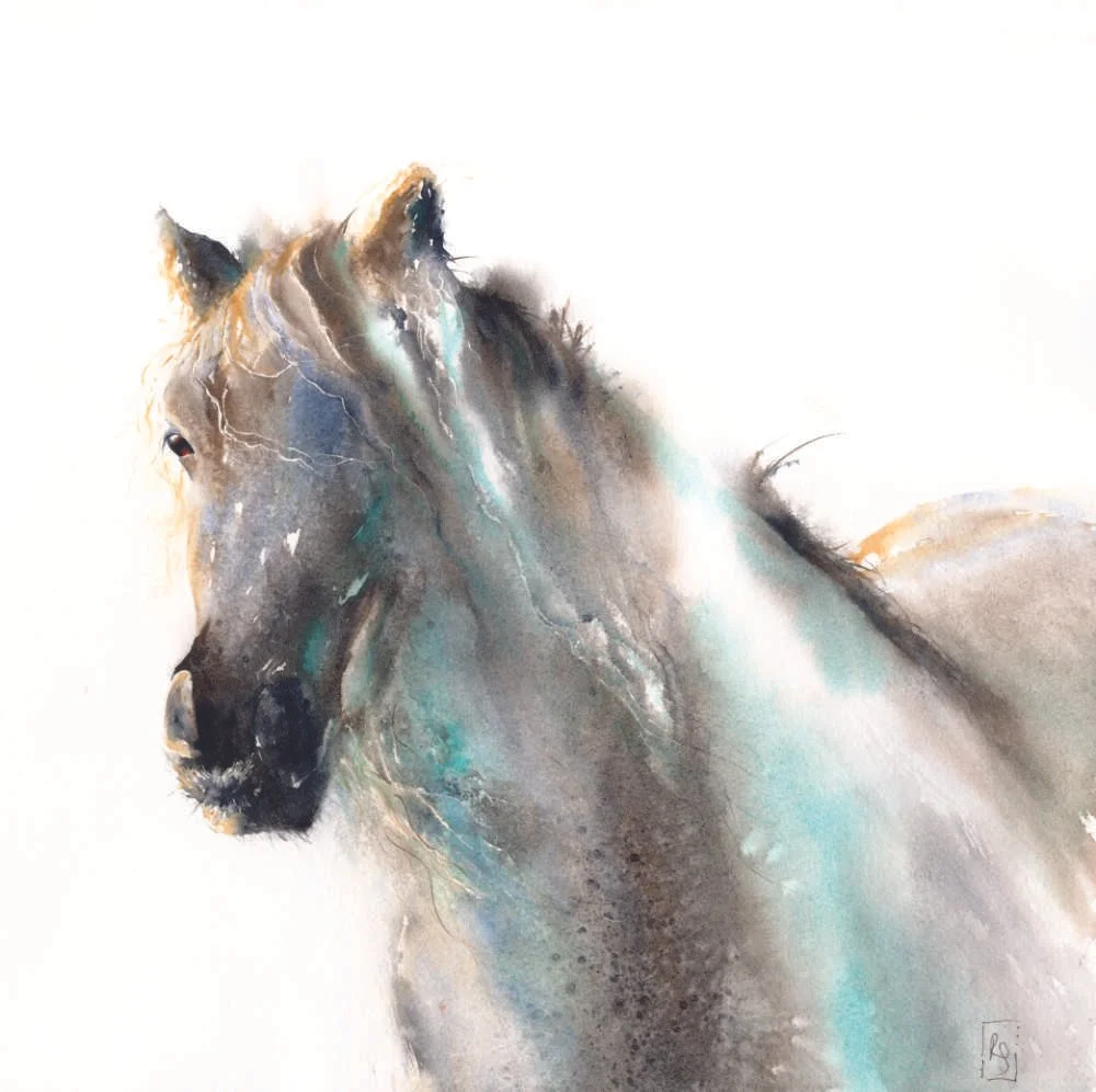 Cumbrian Fell Pony - Watercolour Painting